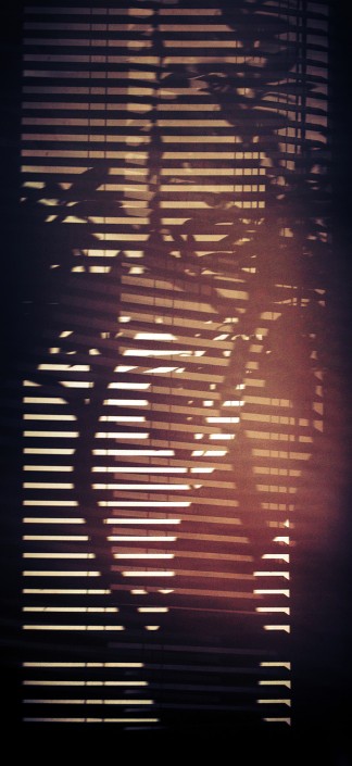 Marvel Shadows