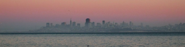 The Bay