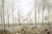 ArtworkWoods