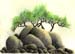 RocksandTrees