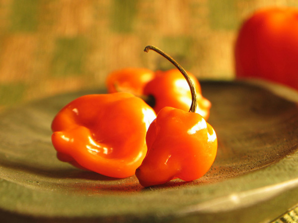 ArtworkPeppers